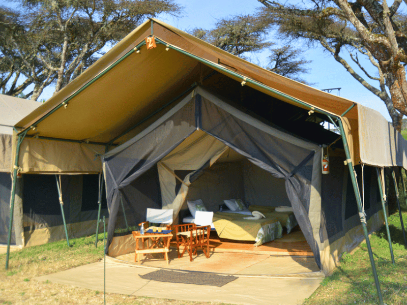 Ngorongoro Krater Tented Camp Budget Tansania
