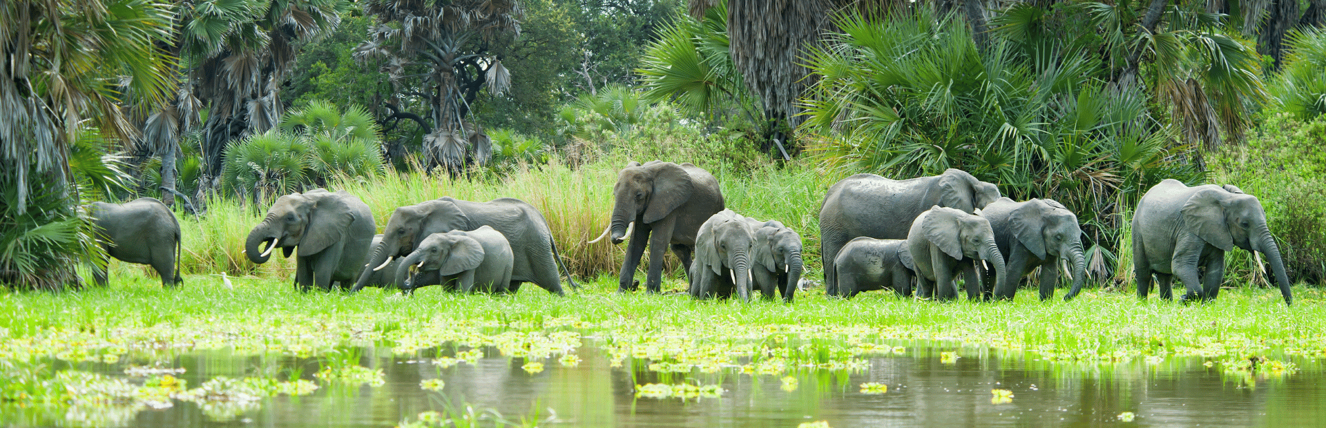 Nyerere Nationalpark in Tansania