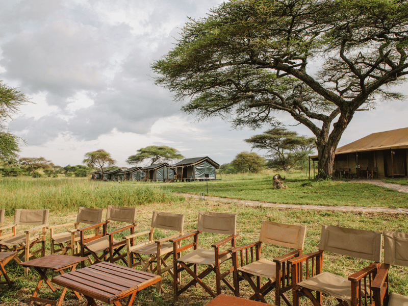 Tented Camp in Mara Serengeti in Tansania