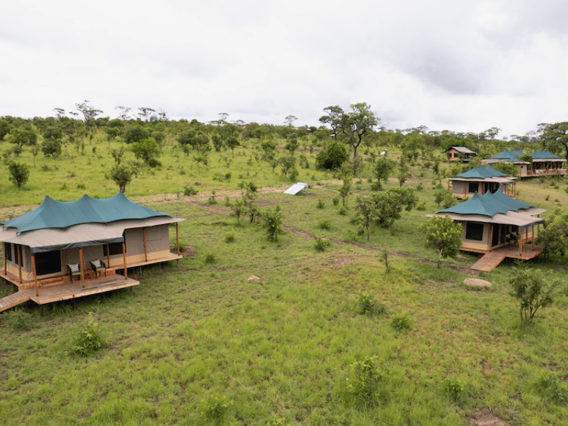 Tented Camp Komfort in Mara Serengeti in Tansania