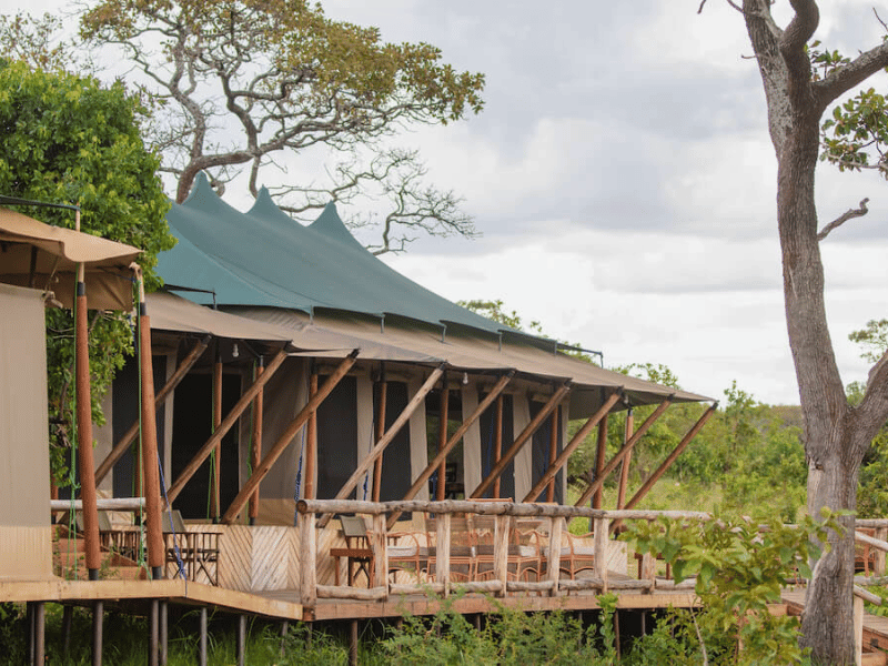 Tented Camp Komfort in Mara Serengeti in Tansania