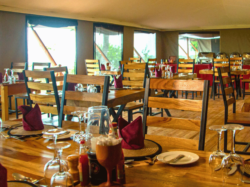 Tented Camp Komfort in Mara Serengeti in Tansania