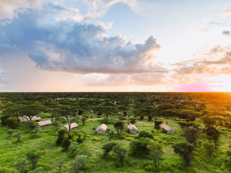 Ndutu Lodge Budget in Tansania