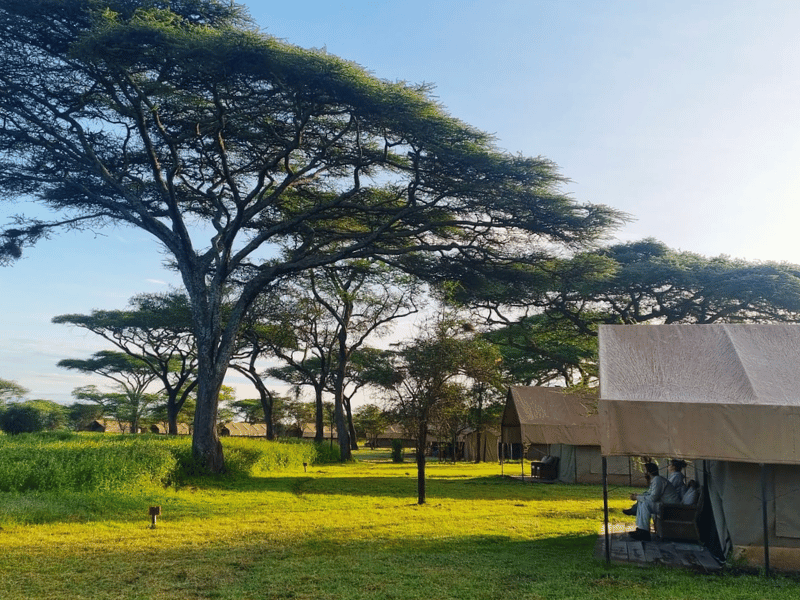 Ndutu Lodge Budget in Tansania