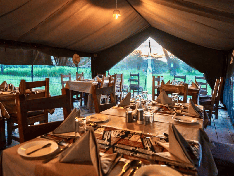 Ndutu Lodge Budget in Tansania