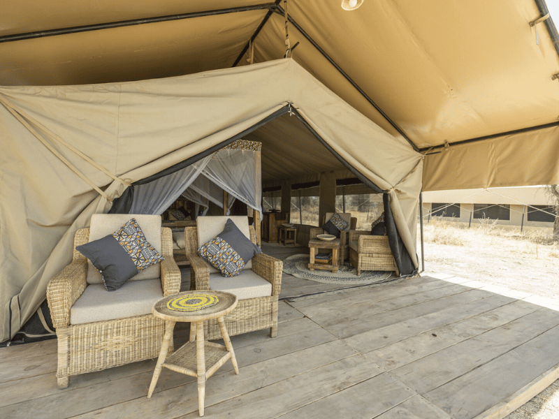 Ndutu Lodge Budget in Tansania
