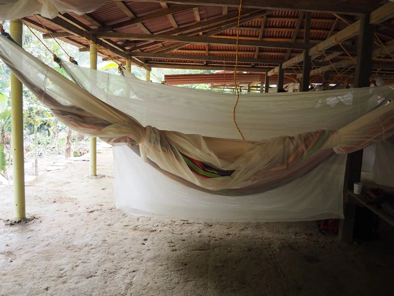 Haengematten auf dem Weg nach Ciudad Perdida in Kolumbien