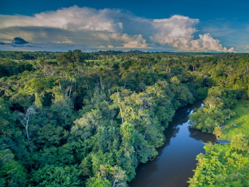 Amazonasgebiet in Kolumbien