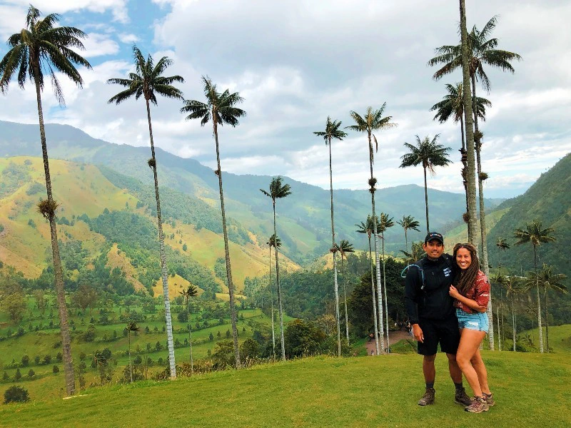 Palmen im Cocora Valley in Kolumbien