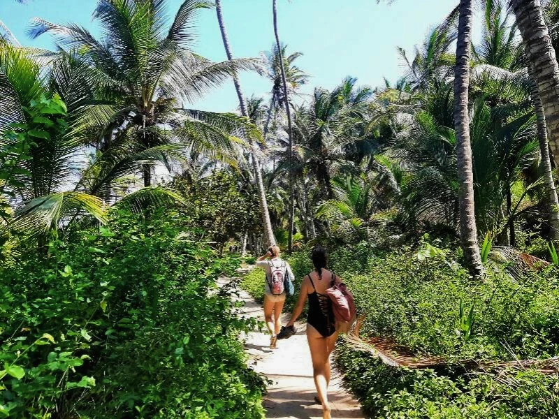 Wanderung im Tayrona-Nationalpark in Kolumbien, umgeben von üppiger Vegetation