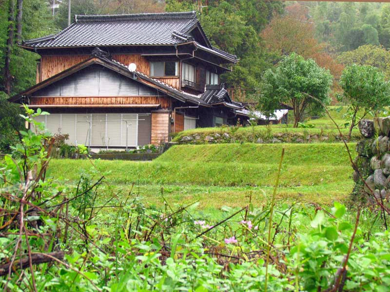 Reisfeld und Anwesen in Shirakawago