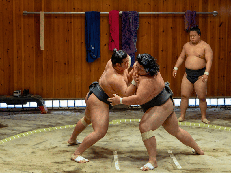 Sumotraining in Tokio