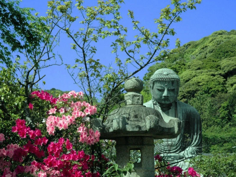 Blumen vor dem großen Buddha in Kamakura