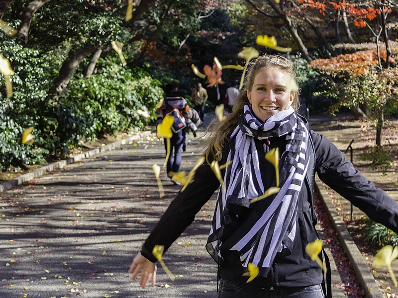 Reisende wandert während der Herbstfärbung im Park in Takayama