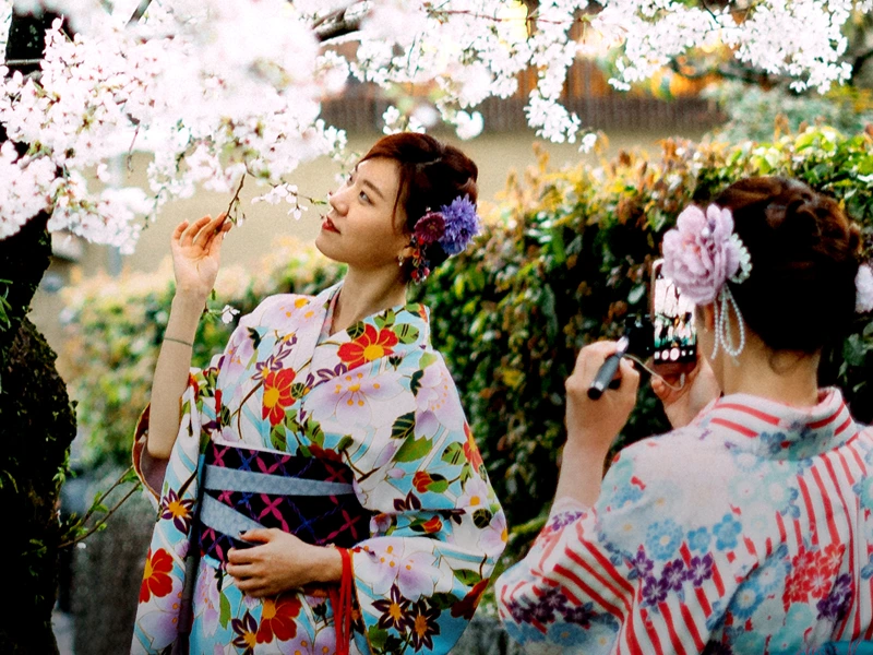 Japanerinnen im Yucata vor einem Kirschbaum in Japan