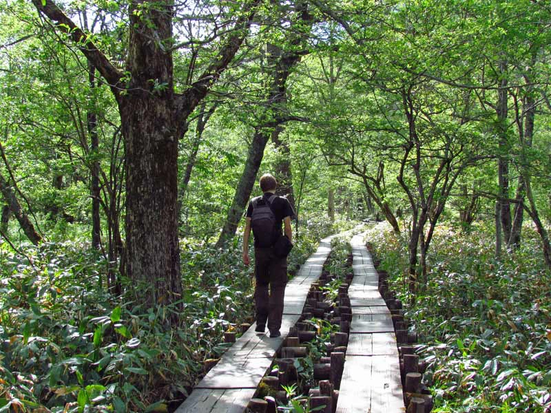 Holzwanderweg in den Kamikochi Bergen