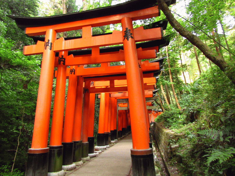 Fushima-inari-taisha Schrein mit vielen roten Toriis