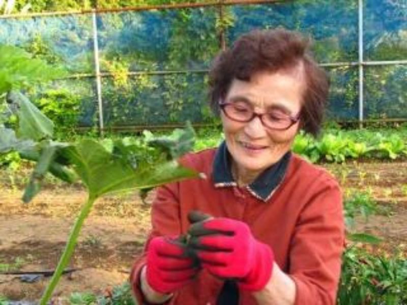 Rondreis Japan homestay Gotemba Mount fuji