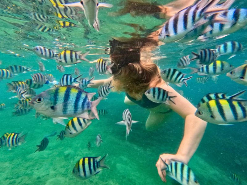 Schnorcheln vor Okinawa