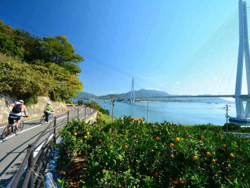 Fahrradfahrer auf dem Shimanami Kaido, Japan
