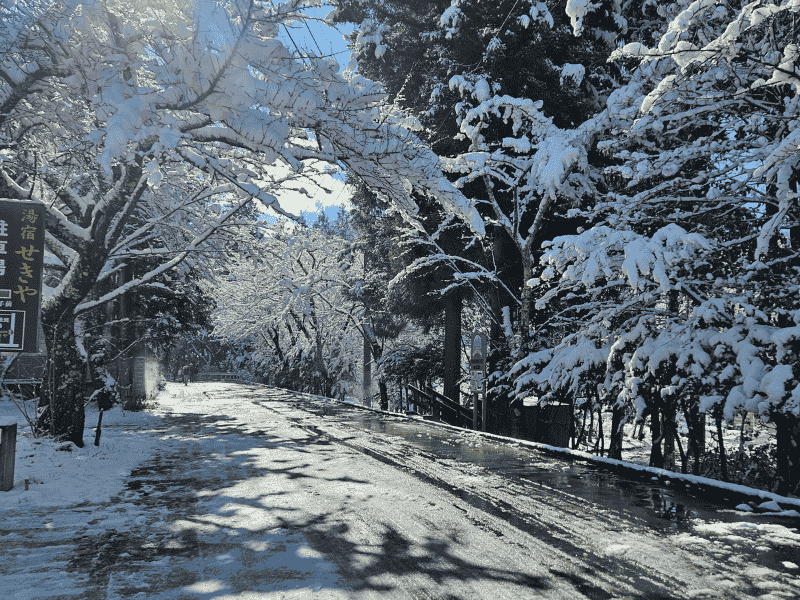 Schneelandschaft in den japanischen Alpen