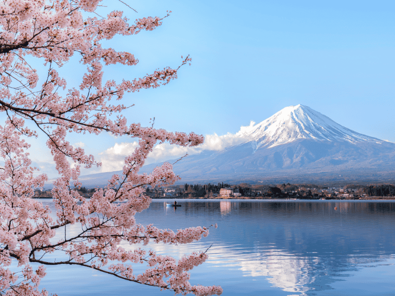 Mount Fuji zur Kirschblüten-Zeit