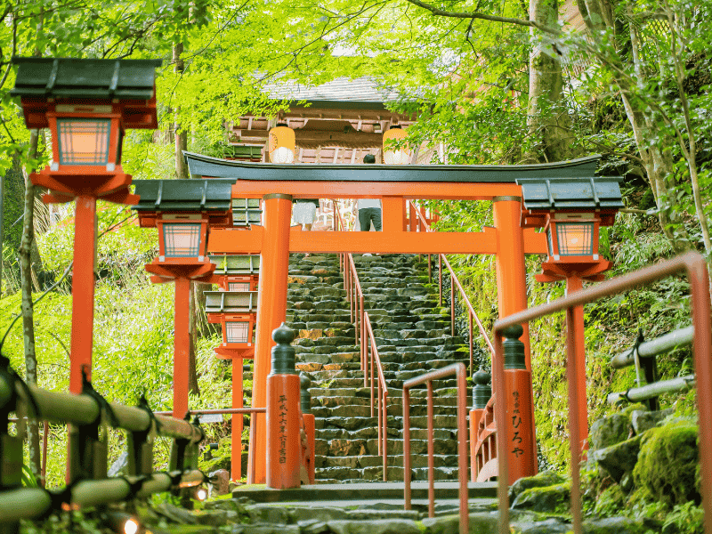 rote Torii in Kyoto