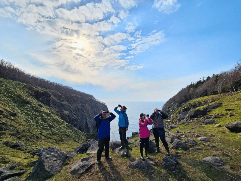 Menschen bei Naturwanderung in Shiretoko, Hokkaido