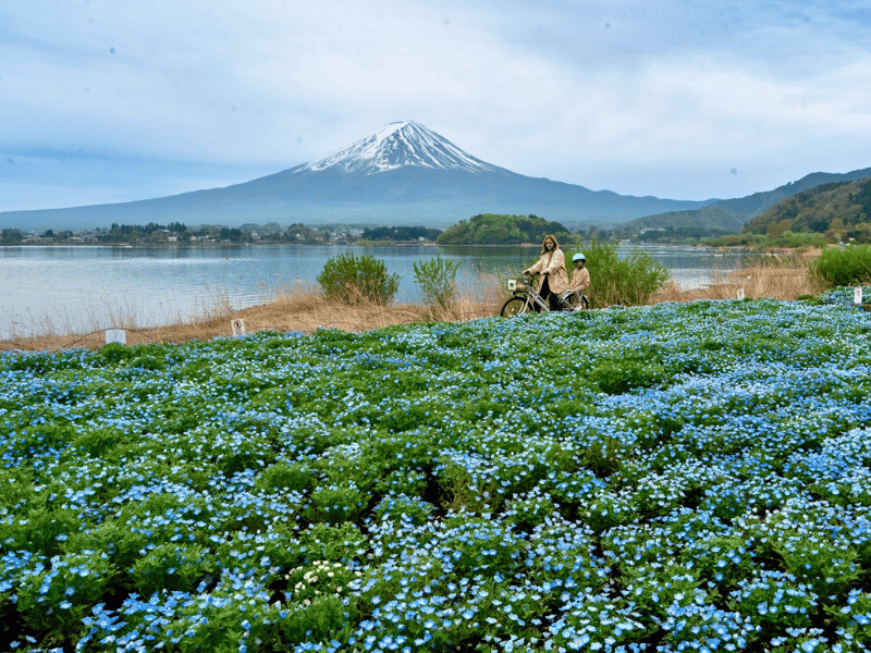 Fahrradtour in Kawaguchiko