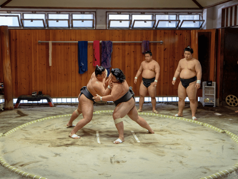 Sumo Training in Tokio