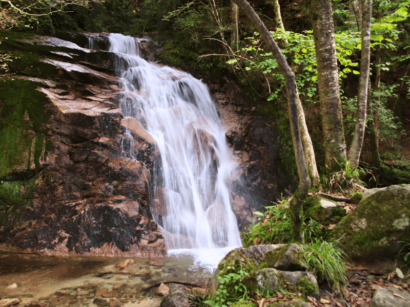 Wasserfall auf braunem Gestein im Wald