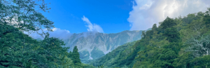 Grüne Vegetation mit Berg und blauem Himmel