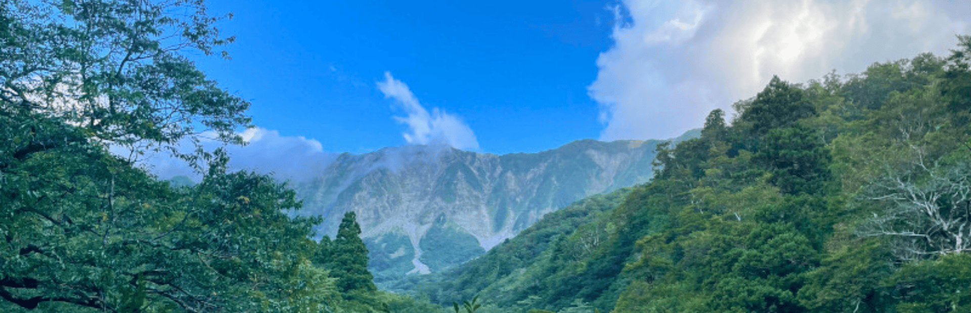 GrĂĽne Vegetation mit Berg und blauem Himmel