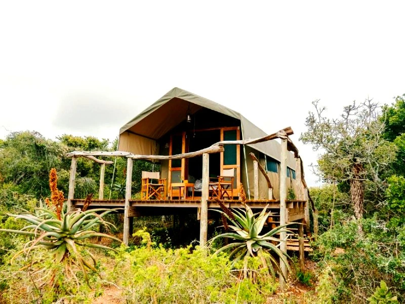 Private Safarilodge bei Port Elizabeth Südafrika