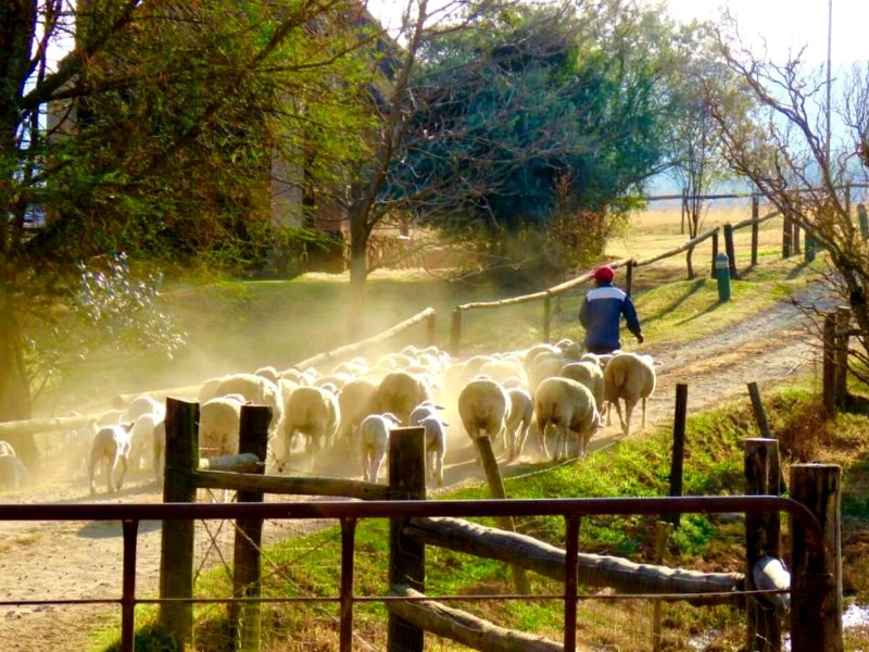 Lodge in den Drakensbergen Südafrika
