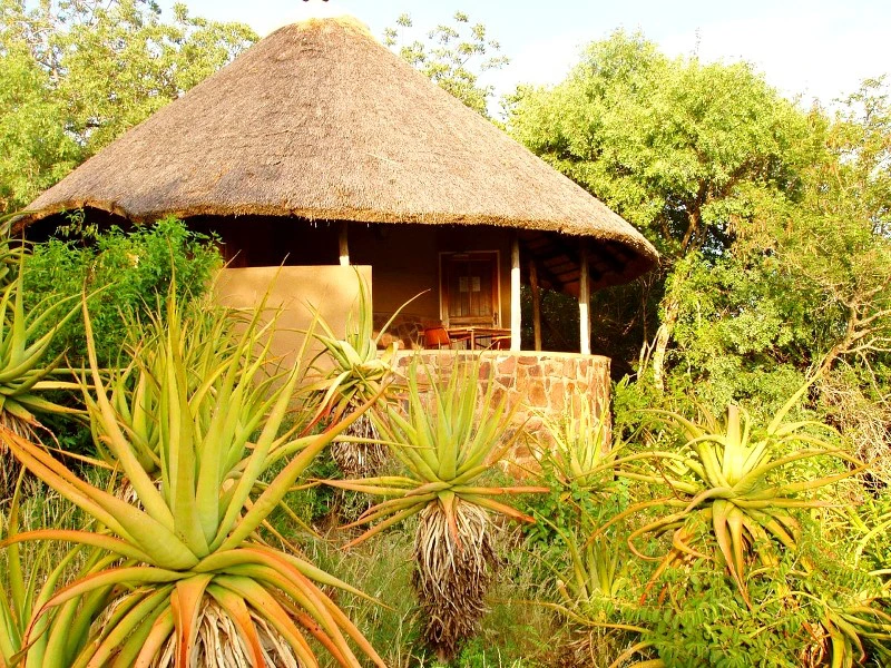 Restcamp Krüger Südafrika