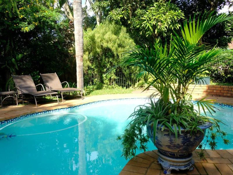 Hotelpool in St Lucia in Südafrika