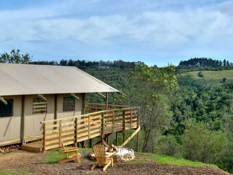 Plettenberg Glamping Südafrika