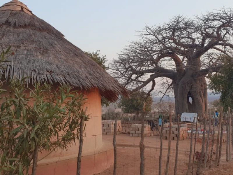 Rondavel Homestay Makushu Südafrika