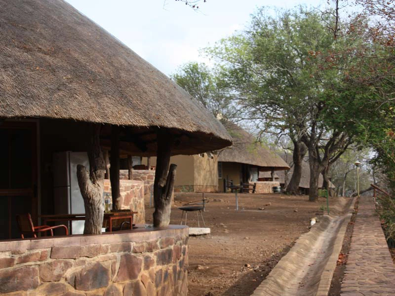 Camp Krüger Nationalpark Südafrika