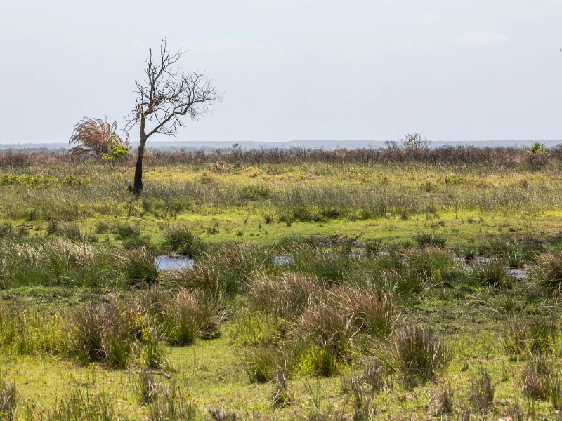 iSimangaliso Wetlands Park in St Lucia Südafrika