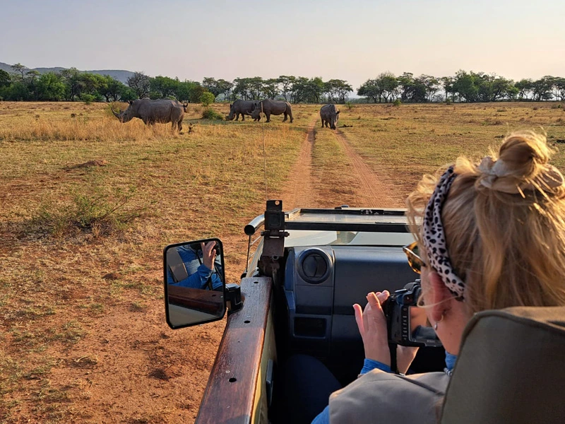 Rhinotracking in Entabeni Südafrika