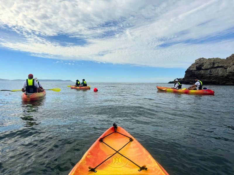 Südafrika Hermanus Kayaktour
