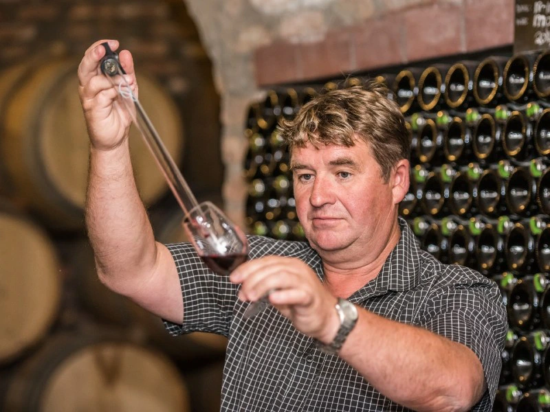 Weinprobe Südafrika