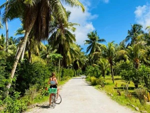 Seychellen - La Digue Palmen Fahrrad