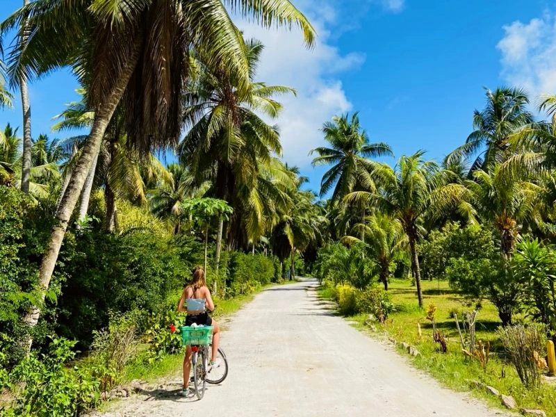 Seychellen - La Digue Palmen Fahrrad