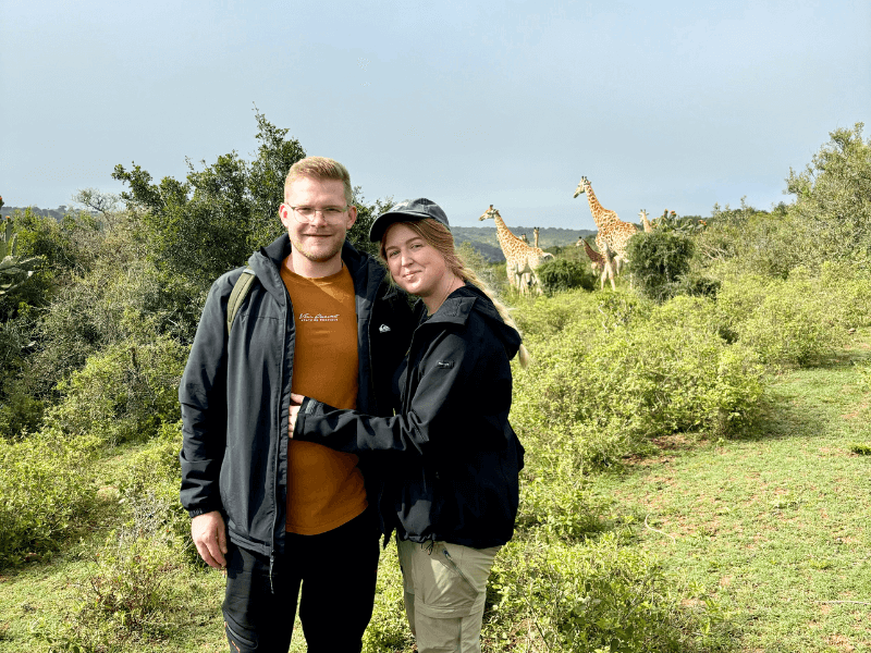 Giraffen im Addo Südafrika