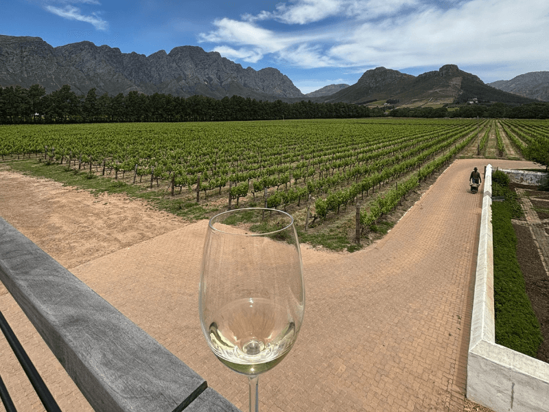 Stellenbosch Weinprobe Südafrika