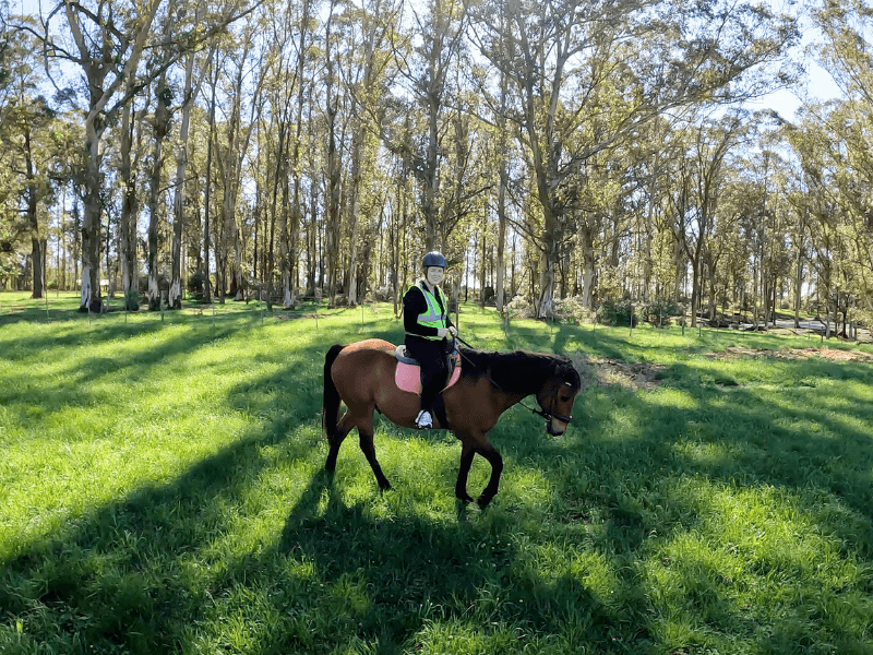 Ausritt in Wilderness Südafrika