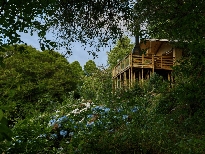 Glamping Magoebaskloof Tzaneen Südafrika